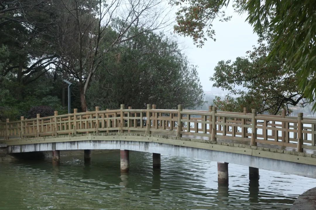 DƬ